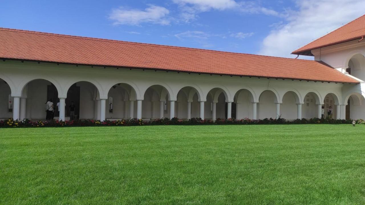 Pensiunea Maya Sîmbăta de Sus エクステリア 写真